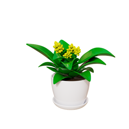 House Plant  3D Icon