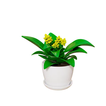 House Plant  3D Icon