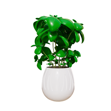 House Plant  3D Icon