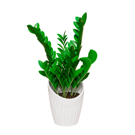 House Plant  3D Icon