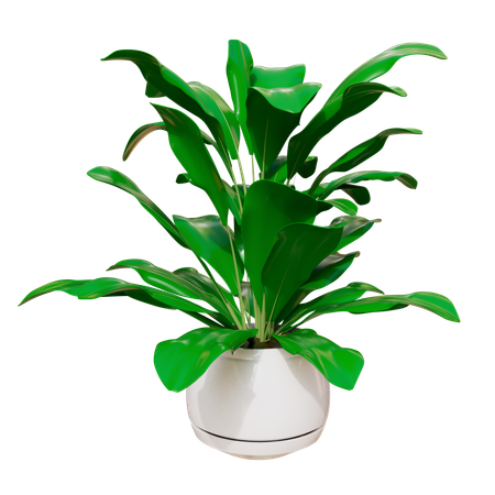 House Plant  3D Icon