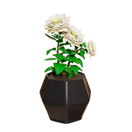 House Plant  3D Icon