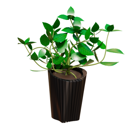 House Plant  3D Icon