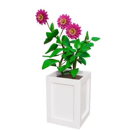 House Plant  3D Icon