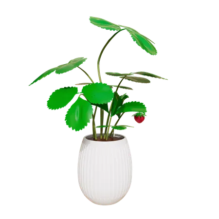 House Plant  3D Icon