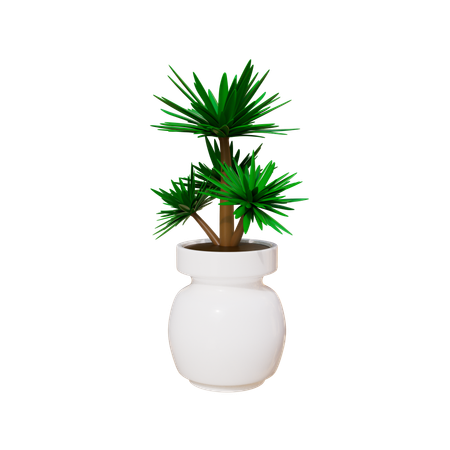 House Plant  3D Icon