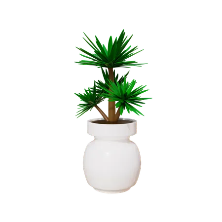 House Plant  3D Icon