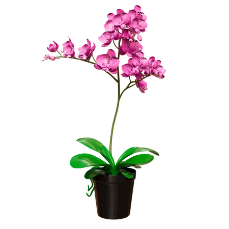 House Plant  3D Icon