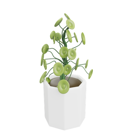 House Plant  3D Icon