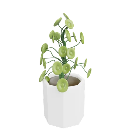 House Plant  3D Icon