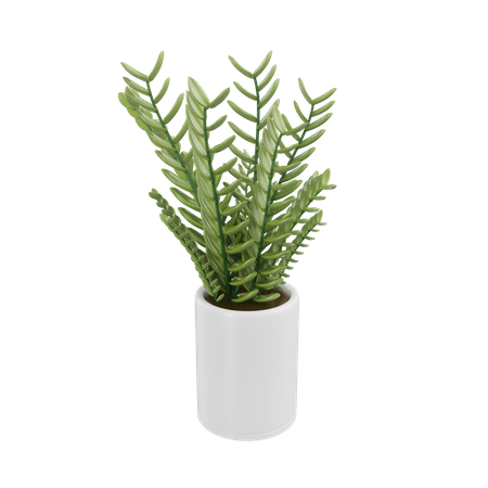 House Plant  3D Icon