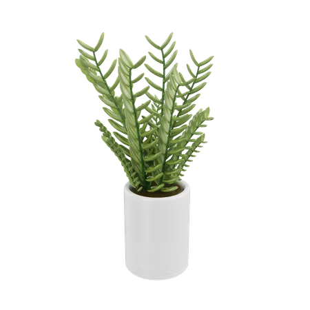 House Plant  3D Icon