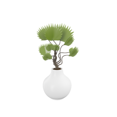 House Plant  3D Icon