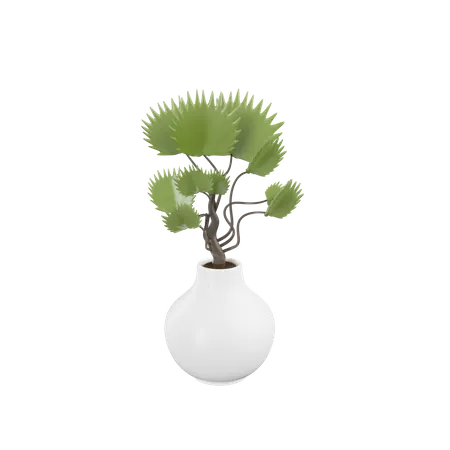 House Plant  3D Icon