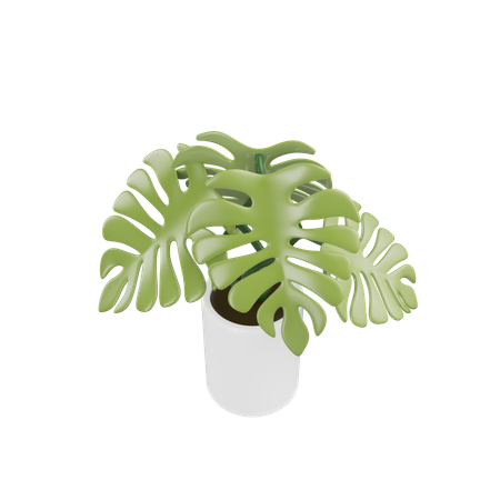 House Plant  3D Icon