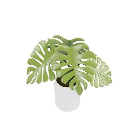 House Plant  3D Icon