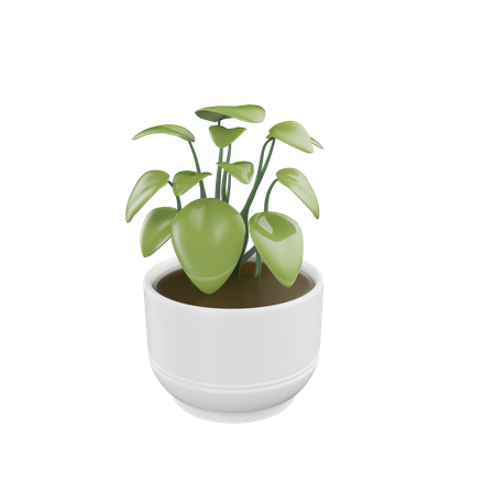 House Plant  3D Icon