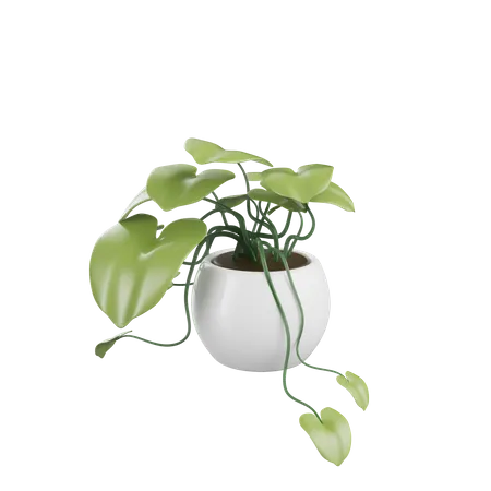 House Plant  3D Icon