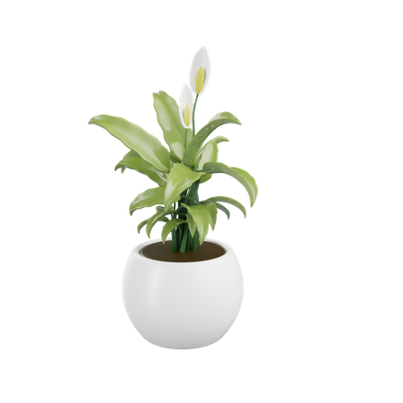 House Plant  3D Icon