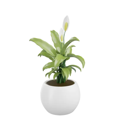 House Plant  3D Icon