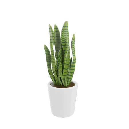 House Plant  3D Icon