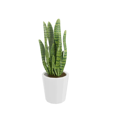 House Plant  3D Icon