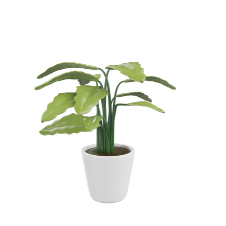 House Plant  3D Icon