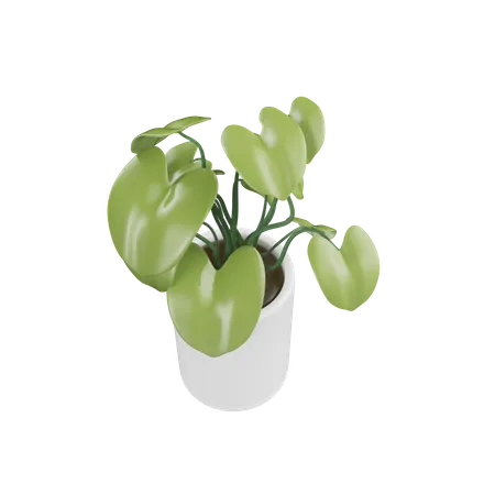 House Plant  3D Icon