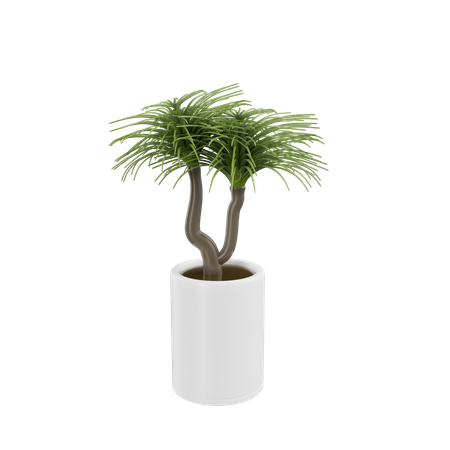 House Plant  3D Icon