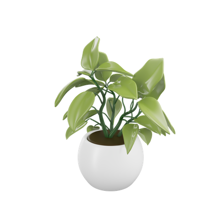 House Plant  3D Icon