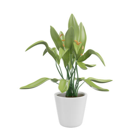 House Plant  3D Icon