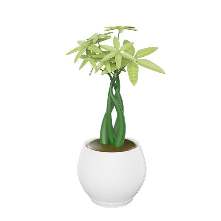 House Plant  3D Icon