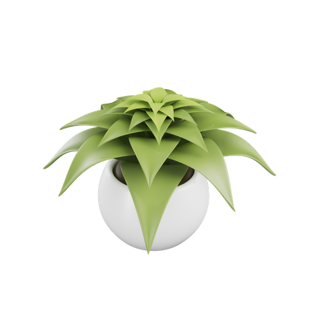 House Plant  3D Icon