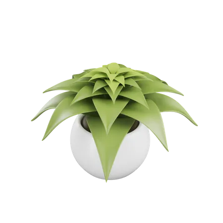 House Plant  3D Icon