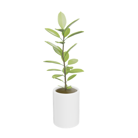 House Plant  3D Icon