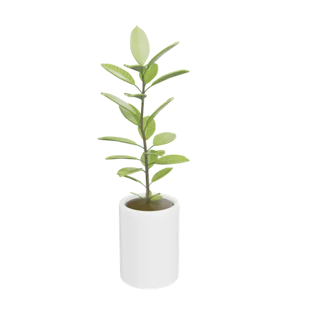 House Plant  3D Icon