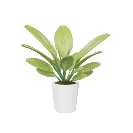 House Plant  3D Icon