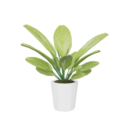 House Plant  3D Icon