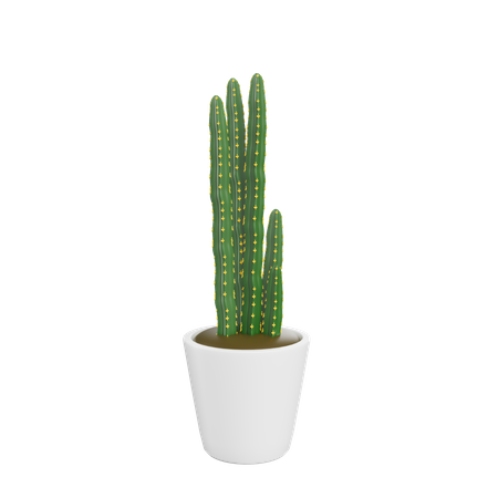 House Plant  3D Icon