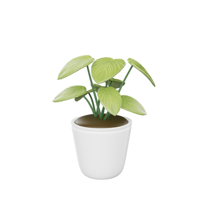 House Plant  3D Icon