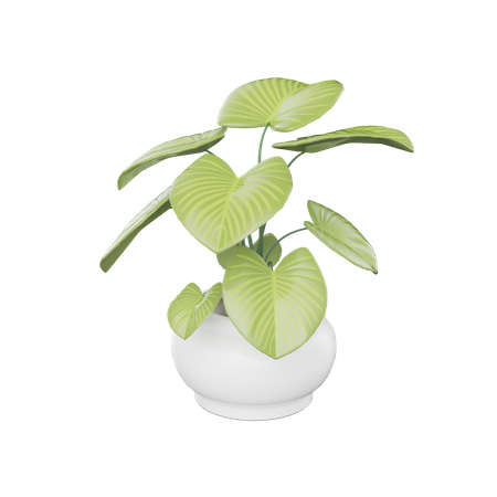 House Plant  3D Icon