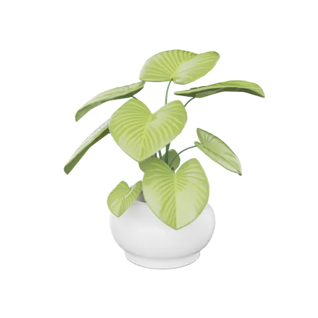 House Plant  3D Icon