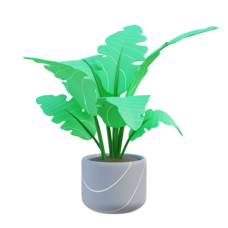 House Plant  3D Icon