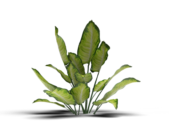 House Plant  3D Icon