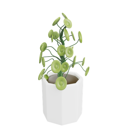 House Plant  3D Icon