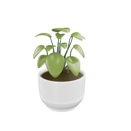 House Plant  3D Icon