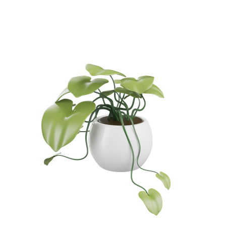House Plant  3D Icon
