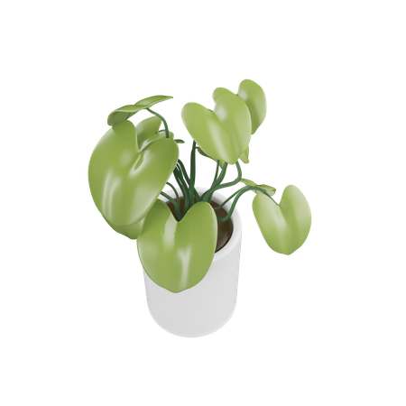 House Plant  3D Icon