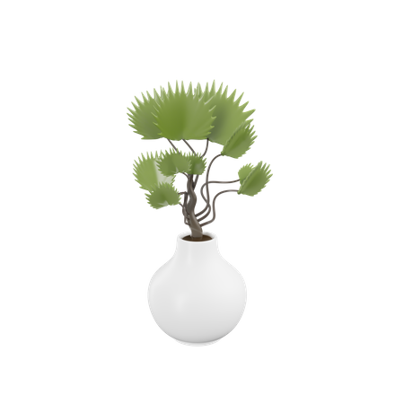 House Plant  3D Icon