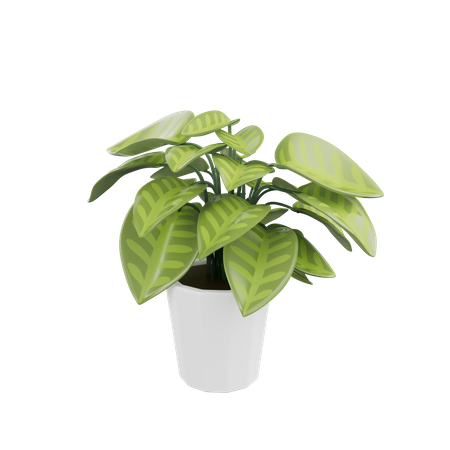 House Plant  3D Icon